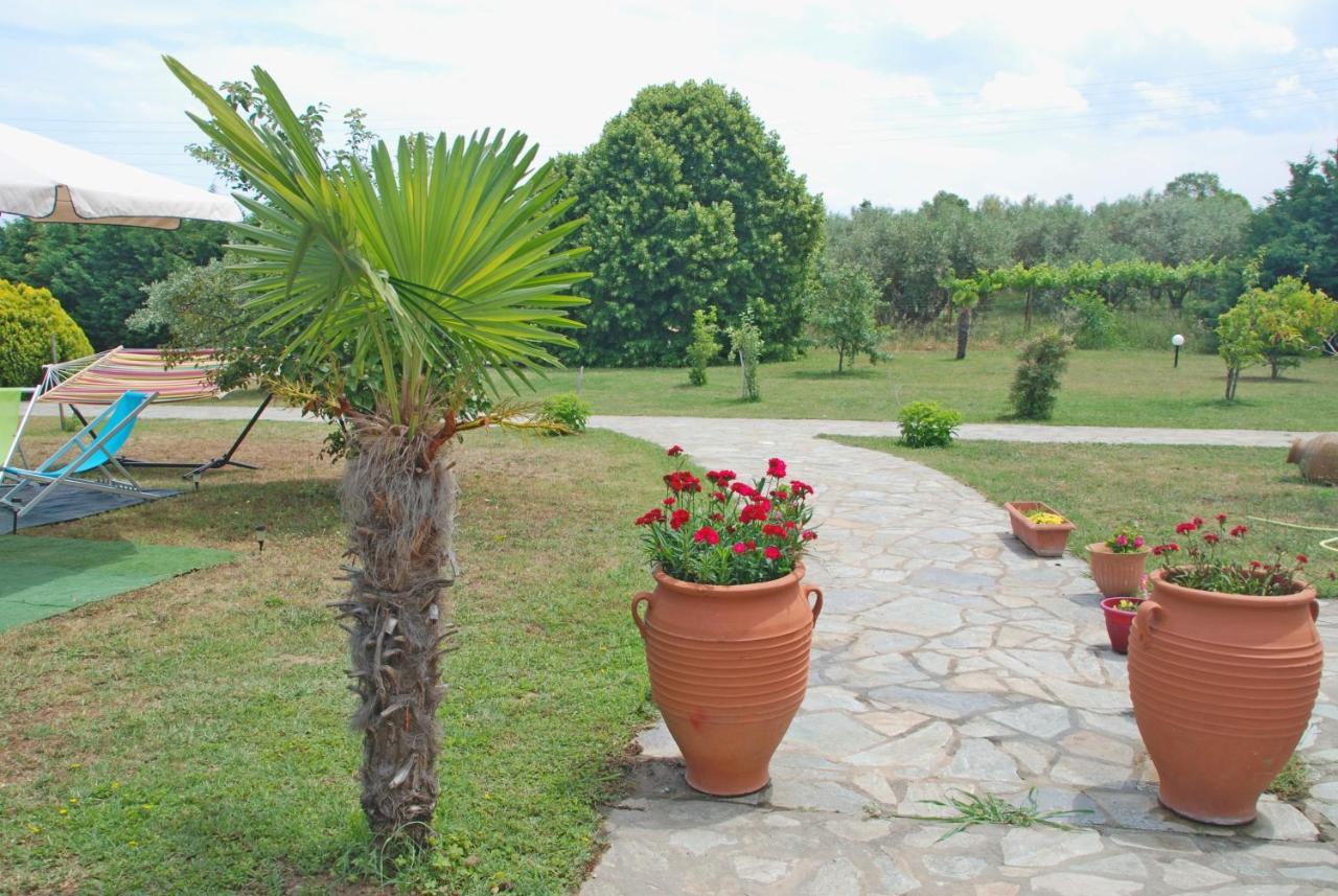 Vila Casa Consta Olympus Litochoro Exteriér fotografie