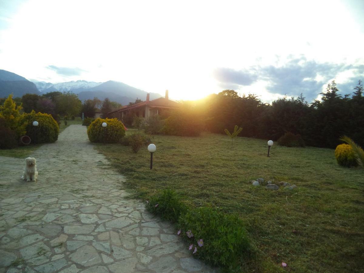 Vila Casa Consta Olympus Litochoro Exteriér fotografie